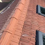 resine tuiles frepillon 95 2